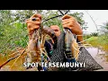 Download Lagu MENYERAMKAN ! MANCING DI SPOT TERSEMBUNYI INI TERNYATA BANYAK UDANG GALAH BESARNYA | MANCING UDANG