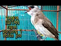 Download Lagu Tanpa editan Suara Trucuk Ropel Panjang 1 nafas istimewa untuk masteran