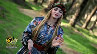 مجرودة التسعيرة زهرة الوادي اميرة خالد واسد البادية اشرف خالد 2023 