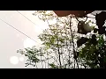 PLAYLIST SAD SONGS 2025 | PLAYLIST SPOTIFY GALAU | KAMIN 