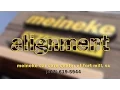 Meineke Car Care Center Fort Mill SC Alignment 2014