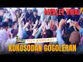Lagu KOKOSODAN GOGOLERAN ( REREOGAN ) X FILY KURCACI