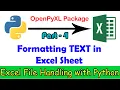 4 Text Formatting in Excel Sheets using Python Colors Module OpenPyXL Tutorial