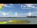 Download Lagu LAGU BAJAU : I'M SORRY - WAKIL (KOLEKSI 2020)