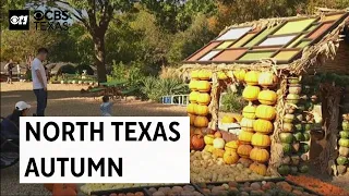 Autumn at the Arboretum welcomes fall, Halloween to North Texas