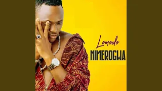 nimerogwa