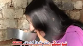 مسافر سختی خورای دی سیدنواز پردیس 