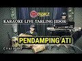 Download Lagu Pendamping ati (lis syantika) - Karaoke live || Dywz musik || Hd Audio #tarling#koplo#bajidor