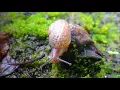 Klangkarussell - All Eyes On You vs. Receptor - Coffee Without You (Mud Kart Mash-Up)