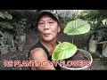 Download Lagu RE PLANTING MY FLOWERS 