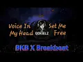 Download Lagu DJ VOICE IN MY HEAD X SET ME FREE MR ALOY BREAKBEAT X BKB  [ Edit DJ GOKIELZ ]
