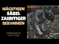 Machtiger Sabelzahntiger Tierbegleiter Guide Conan Exiles