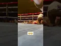 Download Lagu Wild Ringside View Of Bakhodir Jalolov’s #shobox Knockout 😳🥵 #shorts