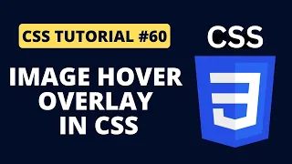 CSS Tutorial - Image Hover Overlay in CSS Programming For Beginners