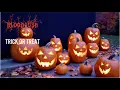 Download Lagu Don’t Play This Song After Midnight 👻 BLOODGUSH ‘Trick or Treat’