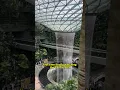 Rain Vortex 🇸🇬 Jewel Changi Airport in Singapore