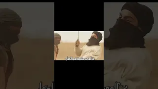 امير الحب علي 