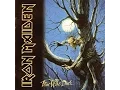 Download Lagu Iron Maiden - Wasting Love