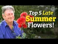 Download Lagu 5 Stunning Late Summer Flowers You NEED in Your Garden