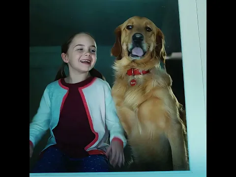 True loyalty lasts beyond life and death#film #movie #usa #shorts