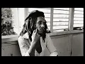 Bob Marley & The Wailers - So Much Trouble In The World (Extended Mix)