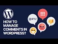 How To Manage Comments in WordPress Website Tutorial