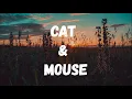 Lagu Cat \u0026 Mouse (No Copyright Music)