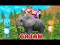 Download Lagu Gajah 🐘❤️🐘 Lagu Anak Indonesia Balita