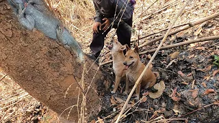 พาน้องหมาเข้าป่าหาแลนภูเขา