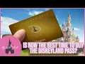 Is NOW the BEST Time to buy the Disneyland Pass Disneyland Paris Annual Pass Perks Frozen