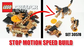 LEGO® CREATOR™ 30578 | German Shepherd 🐕 (2021) | STOP MOTION SPEED BUILD
