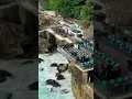 Download Lagu Drinks on the rocks🌊|📍Rock Bar, Ayana Resort, Bali🏝️|#ocean #oceanwaves #hotel #bali #rocks#beach#uk