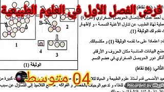 فرض الفصل الأول في العلوم الطبيعية السنة الرابعة متوسط 2025 