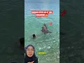 Download Lagu PENEMUAN YANG MENGEJUTKAN DI LAUT