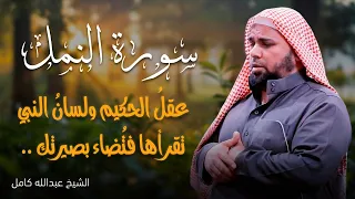 لما نطق سليمان ارتجّ القلب سورة النمل بصوت خاشع من عبدالله كامل دندنها
