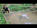 Download Lagu Single Mother's Desperate Plea What Happened to the Engineer ?