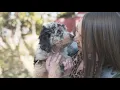 Pacific Northwest Doodles - About Us