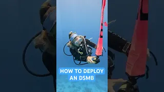 How To Deploy A Surface Marker Bouy Scuba Diving Skills 