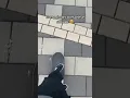 Download Lagu Every skater likes these sounds😍 #skate #skateboarding #shorts #viral #skateboard #skating #skater