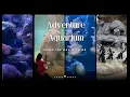 2024 Adventure Aquarium Quick Walkthrough Camden New Jersey