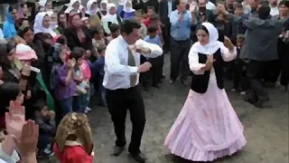 ناز نکن جانی دندنها