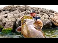 World Record Flathead was Caught in Kansas We head to state to HAND-FISH for our own GIANT
