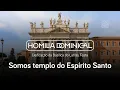 Somos templo do Espírito Santo: Homilia da Festa da Dedicação da Basílica do Latrão, Pe. Fábio, IVE