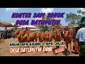 kontes sapi sonok milik bpk bahri \u0026 bpk halki