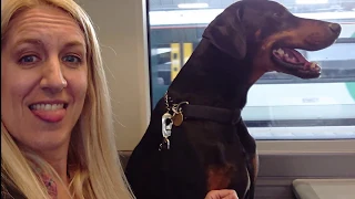 Episode 9 – Finally Leaving to Sail the World!