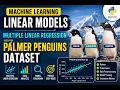 Machine Learning Linear Models Multiple Linear Regression using Palmer Penguins Dataset Python
