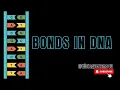 Bonds in DNA Structure