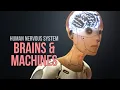 Lagu Nervous System - Brain-Computer-Interfaces (Brains \u0026 Machines)