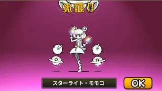 Battle Cats - Starlight Momoco Legend Rare True Form