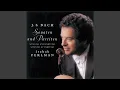 Download Lagu Partita for Solo Violin No. 2 in D Minor, BWV 1004: V. Chaconne